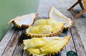 [☕️🇻🇳] Garden Coffee – Tea Thanh Sơn 🥤 Top1Coffee ☕️ Chủ có tâm thì đồ làm ở cái tầmmmmm!
Ae ko vào garden thì vào đâu đây
Đã tâm huyết với nghề thì tâm huyết cho chót nào. Em vừa , shares-0✔️ , likes-11❤️️ , date-2023-07-05 06:30:01🇻🇳🇻🇳🇻🇳📰🆕