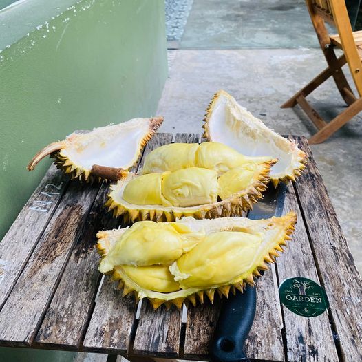 [👗🇻🇳] Adidas Việt Nam 😎❤️️⭐️ – 🔥🔥 ADIDAS x BAJOWOO – BƯỚC TIẾN HOÀN HẢO, PHÁ CÁCH TÁO BẠOKhông ngừng b …