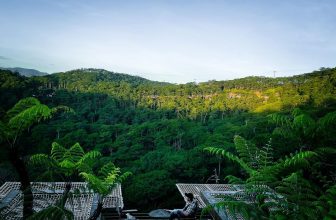 [☕️🇻🇳] Horizon Coffee – Đà Lạt 🥤 Top1Coffee ☕️ Có những người, đi Đà Lạt cũng chẳng phải để đi chơi, mà vẫn làm việc như thường. Vẫn cầm theo laptop, vẫn họp hành, vẫn điện th , shares-1✔️ , likes-16❤️️ , date-2023-07-17 01:00:00🇻🇳🇻🇳🇻🇳📰🆕