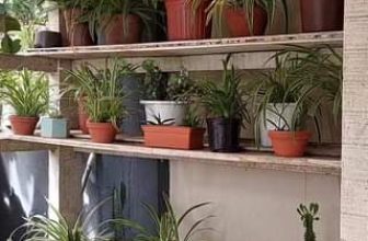 [☕️🇻🇳] An Cafe – Ăn uống và cafe đúng chất Đà Lạt 🥤 Top1Coffee ☕️  Sunny Morning at An CaFe on 19/07/2023, shares-0✔️ , likes-0❤️️ , date-2023-07-19 02:26:36🇻🇳🇻🇳🇻🇳📰🆕