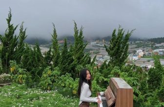 [☕️🇻🇳] Ngày của Nắng Coffee+ 🥤 Top1Coffee ☕️ 𝐆𝐡𝐞́ 𝐭𝐡𝐚̆𝐦 𝐍𝐠𝐚̀𝐲 𝐜𝐮̉𝐚 𝐍𝐚̆́𝐧𝐠 𝐂𝐨𝐟𝐟𝐞𝐞 – 𝐊𝐡𝐮 𝐯𝐮̛𝐨̛̀𝐧 𝐭𝐡𝐨̛ 𝐦𝐨̣̂𝐧𝐠 𝐛𝐚̣̂𝐜 𝐧𝐡𝐚̂́𝐭 Đ𝐚̀ 𝐋𝐚̣𝐭Mở khung cửa nhỏ, cả một khoảng trời bình  , shares-12✔️ , likes-247❤️️ , date-2023-09-01 06:10:42🇻🇳🇻🇳🇻🇳📰🆕