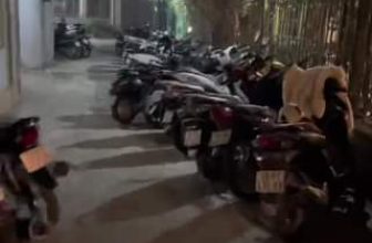 [☕️🇻🇳] Garden Coffee – Tea Thanh Sơn 🥤 Top1Coffee ☕️ XIN CHÀO THÁNG 9 tháng tự hào niềm vui dântộc
Chỉ là lễ tết chưa có biết đi đâu thì vào với xóm chúng mình để cảm nhận được mua  , shares-0✔️ , likes-24❤️️ , date-2023-09-01 00:01:19🇻🇳🇻🇳🇻🇳📰🆕