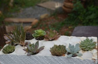 [☕️🇻🇳] Fin Coffee  🥤 Top1Coffee ☕️  Một chiếc cà phê nằm gọn trong khu vườn nhỏ tại Quảng Trị.
Quầy bar được thiết kế bằng những nguyên liệu gần gũi, tạo cảm giác , shares-0✔️ , likes-11❤️️ , date-2023-08-30 03:55:03🇻🇳🇻🇳🇻🇳📰🆕