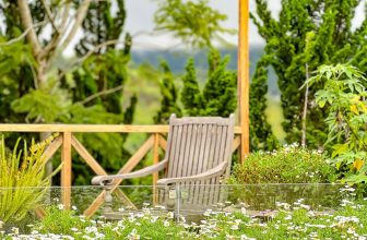 [☕️🇻🇳] Ngày của Nắng Coffee+ 🥤 Top1Coffee ☕️ Bình yên là vài khóm cúc lay trong gió, trời bất chợt đổ cơn mưa phùn, đôi khi là ông mặt trời lấp ló sau đám mây, thoang thoảng , shares-4✔️ , likes-35❤️️ , date-2023-09-05 11:58:16🇻🇳🇻🇳🇻🇳📰🆕