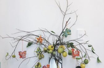 [☕️🇻🇳] The Comma coffee 🥤 Top1Coffee ☕️ Cành thị cuối mùa cho Tết Trung Thu  ______
The Comma Coffee
21 Hoa Mai, phường 2, quận Phú Nhuận
Opening hour | 8:00 – 22:0 , shares-0✔️ , likes-27❤️️ , date-2023-09-07 06:09:27🇻🇳🇻🇳🇻🇳📰🆕