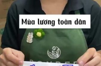 [☕️🇻🇳] Sonder – Tea & Coffee 🥤 Top1Coffee ☕️ Có lương là nệm ấm chăn êm liền #sonderteacoffee #sonder #sondercantho #sondernguyenvancu #sondermacthientich #sondertranhungdao , shares-0✔️ , likes-0❤️️ , date-2023-09-15 05:37:31🇻🇳🇻🇳🇻🇳📰🆕