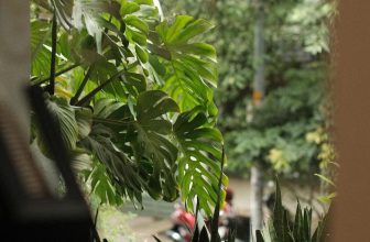 [☕️🇻🇳] The Comma coffee 🥤 Top1Coffee ☕️ Random pic  ______
The Comma Coffee
21 Hoa Mai, phường 2, quận Phú Nhuận
Opening hour | 8:00 – 22:00
Online order: Grab, Sh , shares-0✔️ , likes-8❤️️ , date-2023-09-25 10:10:42🇻🇳🇻🇳🇻🇳📰🆕