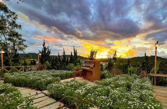 [☕️🇻🇳] Ngày của Nắng Coffee+ 🥤 Top1Coffee ☕️ Nếu là Gió – Gió thổi Mây bay ngang trời
Còn nếu là Nắng thì hãy làm Hoàng Hôn thật đẹp…
, shares-1✔️ , likes-43❤️️ , date-2023-10-01 04:07:09🇻🇳🇻🇳🇻🇳📰🆕