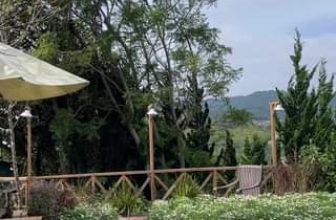 [☕️🇻🇳] Ngày của Nắng Coffee+ 🥤 Top1Coffee ☕️ Mai cuối tuần rồi có ai hẹn cà phê ngắm cúc hoạ mi không ạ #ngaycuanangcoffee #dalatthang10
, shares-0✔️ , likes-0❤️️ , date-2023-09-29 00:37:11🇻🇳🇻🇳🇻🇳📰🆕