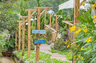 [☕️🇻🇳] Ngày của Nắng Coffee+ 🥤 Top1Coffee ☕️ Lạ à nghen???
Cứ hỡ mà tháng nào Đà Lạt ít khách thì hoa nè, trái nè, cỏ cây nè…. đua nhau nở, kết trái là sao ta???
, shares-7✔️ , likes-59❤️️ , date-2023-10-04 03:38:38🇻🇳🇻🇳🇻🇳📰🆕