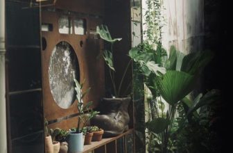 [☕️🇻🇳] Cố Thời Coffee 🥤 Top1Coffee ☕️ Don’t disturb, it’s coffee time  —————
Cố Thời Coffee
: 145/6 Nguyễn Đình Chính, P.11, Q. Phú Nhuận
: 7AM – 10PM
, shares-0✔️ , likes-10❤️️ , date-2023-10-10 02:59:47🇻🇳🇻🇳🇻🇳📰🆕