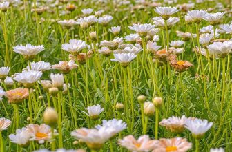 [☕️🇻🇳] Ngày của Nắng Coffee+ 🥤 Top1Coffee ☕️ Hay là đôi ta hẹn ước từ hư vô…
Nhưng mà nhớ vô… Ngày của Nắng Coffee+ bạn nghen
, shares-4✔️ , likes-59❤️️ , date-2023-10-11 05:36:16🇻🇳🇻🇳🇻🇳📰🆕