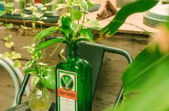 [☕️🇻🇳] BỤI Coffee Chill – Plants 🥤 Top1Coffee ☕️ Chúng ta luôn có sự lựa chọn, hoặc có một cuộc sống thú vị, hoặc đơn giản chỉ là tồn tại.
—–
Bụi Coffee
𝐀𝐝𝐝: 49 Sao Biển –  , shares-0✔️ , likes-14❤️️ , date-2023-10-23 12:29:01🇻🇳🇻🇳🇻🇳📰🆕