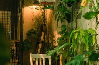 [☕️🇻🇳] BỤI Coffee Chill – Plants 🥤 Top1Coffee ☕️ Trên con đường đời, tôi đi một mình, nhưng không hề cô đơn, bởi vì tôi có bầu trời rộng lớn làm bạn.—–
Bụi Coffee
𝐀𝐝𝐝: 49 S , shares-0✔️ , likes-23❤️️ , date-2023-10-26 15:02:13🇻🇳🇻🇳🇻🇳📰🆕