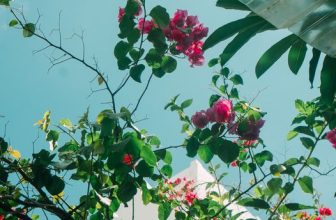 [☕️🇻🇳] BỤI Coffee Chill – Plants 🥤 Top1Coffee ☕️ “Đôi khi, sự đơn độc là người bạn đồng hành trên con đường khởi nghiệp.”
—–
Bụi Coffee
𝐀𝐝𝐝: 49 Sao Biển – Vĩnh Hải – TP Nh , shares-0✔️ , likes-16❤️️ , date-2023-11-07 10:00:04🇻🇳🇻🇳🇻🇳📰🆕