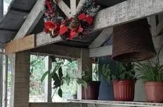 [☕️🇻🇳] An Cafe – Ăn uống và cafe đúng chất Đà Lạt 🥤 Top1Coffee ☕️ A new day starts in An CaFe :-)
Một ngày mới bắt đầu ở An CaFe :-)Được dịch từ Tiếng Anh
, shares-0✔️ , likes-0❤️️ , date-2023-12-07 09:11:57🇻🇳🇻🇳🇻🇳📰🆕