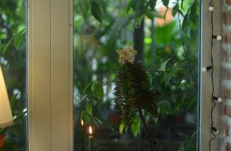 [☕️🇻🇳] PHD Book – Coffee 🥤 Top1Coffee ☕️ Mấy hôm rày, gió lạnh đã lén luồn qua khe cửa vào phòng khi trời gần sáng. Phải kéo chăn đắp kín người. Mấy bạn nhỏ nhà tui cũng , shares-0✔️ , likes-51❤️️ , date-2023-11-29 06:25:18🇻🇳🇻🇳🇻🇳📰🆕