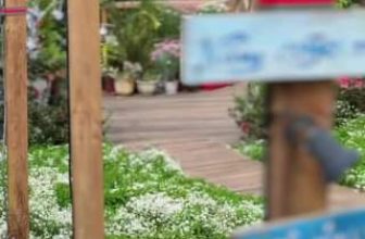 [☕️🇻🇳] Ngày của Nắng Coffee+ 🥤 Top1Coffee ☕️ Đông nép mình bên quán nhỏ! Tha hồ diện những bộ đồ mà tưởng chừng ngày thường mặc không thở nổi  Một ngày chill tại Nắng
, shares-0✔️ , likes-0❤️️ , date-2023-12-05 04:10:33🇻🇳🇻🇳🇻🇳📰🆕