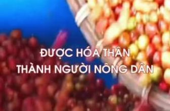 [☕️🇻🇳] Cà phê Đồng Xanh – Greenfields Coffee 🥤 Top1Coffee ☕️ Tham gia Workshop để làm “người nông dân” chế biến cà phê Arabica A Lưới cùng Greenfields Coffee—–
Series Workshop: HÀNH T , shares-0✔️ , likes-8❤️️ , date-2023-12-19 10:26:55🇻🇳🇻🇳🇻🇳📰🆕