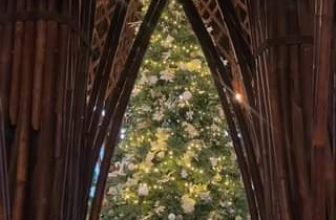 [☕️🇻🇳] Nocenco Coffee 🥤 Top1Coffee ☕️ Gió mùa đông bay vào cửa nhỏ, phố em buồn ngọn cỏ cũng buồn theo. Cất nỗi buồn để đón Giáng sinh cùng NOCENCO thôi nào bạn ơi (Đ , shares-2✔️ , likes-22❤️️ , date-2023-12-16 11:52:05🇻🇳🇻🇳🇻🇳📰🆕