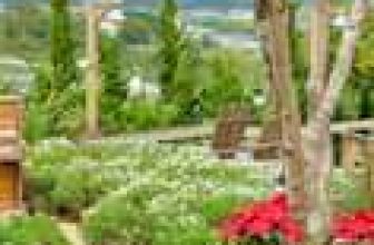 [☕️🇻🇳] Ngày của Nắng Coffee+ 🥤 Top1Coffee ☕️  MERRY CHRISTMAS
——————
𝗡𝗚𝗔̀𝗬 𝗖𝗨̉𝗔 𝗡𝗔̆́𝗡𝗚 𝗖𝗢𝗙𝗙𝗘𝗘+
: Hẻm 14 Gio An, Phường 5, Đà Lạt
:
: 0989 79 54 79
: 6h30 , shares-6✔️ , likes-281❤️️ , date-2023-11-30 15:11:11🇻🇳🇻🇳🇻🇳📰🆕