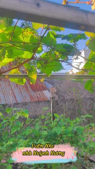 [☕️🇻🇳] Nocenco Coffee 🥤 Top1Coffee ☕️ ĐI TÌM BÌNH YÊN TRONG LÒNG PHỐ
Trong những ngày se lạnh thế này, NOCENCO tựa như một bản tình ca ngọt ngào và sâu lắng, để bất  , shares-1✔️ , likes-20❤️️ , date-2023-12-17 10:45:03🇻🇳🇻🇳🇻🇳📰🆕