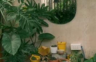 [☕️🇻🇳] BỤI Coffee Chill – Plants 🥤 Top1Coffee ☕️ Người ta không quý con ong, mà người ta chỉ quý mật
, shares-0✔️ , likes-0❤️️ , date-2023-12-15 09:36:48🇻🇳🇻🇳🇻🇳📰🆕