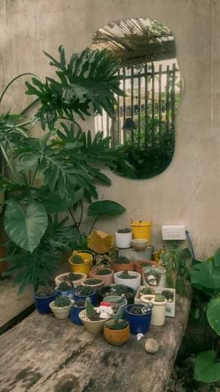 [☕️🇻🇳] BỤI Coffee Chill – Plants 🥤 Top1Coffee ☕️ Người ta không quý con ong, mà người ta chỉ quý mật
 , shares-0✔️ , likes-0❤️️ , date-2023-12-15 09:36:48🇻🇳🇻🇳🇻🇳📰🆕