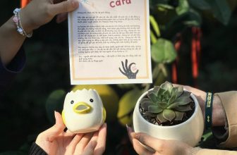 [☕️🇻🇳] La Farine 🥤 Top1Coffee ☕️ 𝐋𝐨̛̀𝐢 𝐜𝐚̉𝐦 𝐨̛𝐧 đ𝐚́𝐧𝐠 𝐲𝐞̂𝐮Tuần trước, chị Hu và anh Đăng có đồng ý cho các bạn nhỏ bên Học viện Báo chí và Tuyên truyền quay po , shares-1✔️ , likes-23❤️️ , date-2023-12-16 06:49:27🇻🇳🇻🇳🇻🇳📰🆕