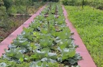 [☕️🇻🇳] Coffee HUỲNH HƯƠNG 🥤 Top1Coffee ☕️ Tin Nóng Ăn cơm trưa tại CƠM NIÊU NỒI ĐẤT HUỲNH HƯƠNG
Cảm thấy đỡ nhớ Quê Hương liệu có thật!!! Hãy đến ngay thưởng thức và kiể , shares-0✔️ , likes-13❤️️ , date-2023-12-20 05:59:17🇻🇳🇻🇳🇻🇳📰🆕