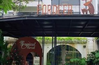 [☕️🇻🇳] ForDeer – Coffee with tree 🥤 Top1Coffee ☕️ Những góc nhỏ cực chill ở Rừng Văn Quán  #rung_tru_an #rung_xin_chao
, shares-0✔️ , likes-0❤️️ , date-2023-12-30 02:00:43🇻🇳🇻🇳🇻🇳📰🆕