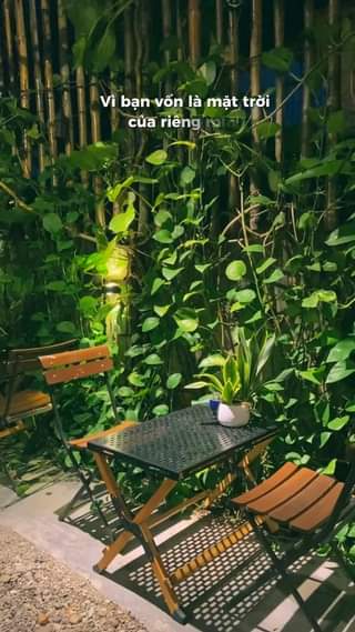 [☕️🇻🇳] BỤI Coffee Chill – Plants 🥤 Top1Coffee ☕️ Mưa đi rồi, trời sẽ nắng
 , shares-0✔️ , likes-0❤️️ , date-2023-12-22 07:48:46🇻🇳🇻🇳🇻🇳📰🆕