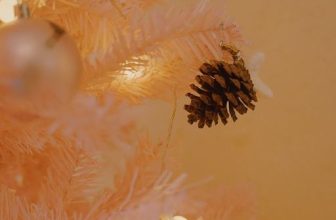 [☕️🇻🇳] The Letter Coffee – Indochine 🥤 Top1Coffee ☕️ Bạn chỉ cần ghé 1 trong 2 quán gọi nước , đều được chụp cả 2 concept noel của 2 quán bạn nhé !
Lầu 6 : noel lung linh nhiều mà , shares-0✔️ , likes-1❤️️ , date-2023-12-23 14:00:50🇻🇳🇻🇳🇻🇳📰🆕