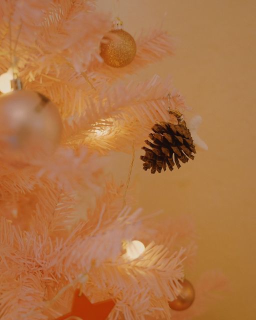 [☕️🇻🇳] The Letter Coffee – Indochine 🥤 Top1Coffee ☕️ Bạn chỉ cần ghé 1 trong 2 quán gọi nước , đều được chụp cả 2 concept noel của 2 quán bạn nhé ! 
 Lầu 6 : noel lung linh nhiều mà , shares-0✔️ , likes-1❤️️ , date-2023-12-23 14:00:50🇻🇳🇻🇳🇻🇳📰🆕