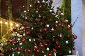 [☕️🇻🇳] ForDeer – Coffee with tree 🥤 Top1Coffee ☕️ 𝐂𝐎𝐔𝐍𝐓𝐃𝐎𝐖𝐍: 𝐂𝐇𝐑𝐈𝐒𝐓𝐌𝐀𝐒 𝐃𝐀𝐘Chỉ còn chưa đầy 3 tiếng nữa thôi là Giáng Sinh chính thức gõ cửa!Giáng Sinh đã đến rất gần, không  , shares-0✔️ , likes-6❤️️ , date-2023-12-24 14:00:32🇻🇳🇻🇳🇻🇳📰🆕