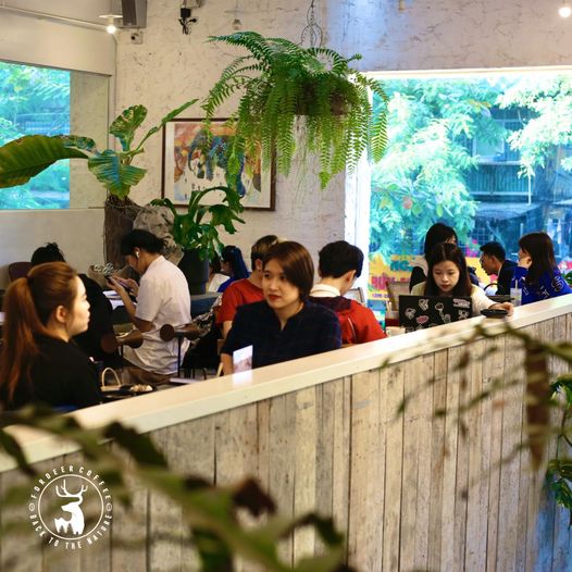 [☕️🇻🇳] ForDeer – Coffee with tree 🥤 Top1Coffee ☕️ Cuối tuần này ghé Rừng bạn nhé…Dưới những tia nắng ấm của một ngày cuối tuần mùa đông, còn gì tuyệt vời hơn khi được thưởng t , shares-0✔️ , likes-5❤️️ , date-2023-12-31 02:00:35🇻🇳🇻🇳🇻🇳📰🆕