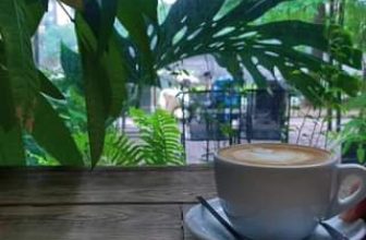 [☕️🇻🇳] ForDeer – Coffee with tree 🥤 Top1Coffee ☕️ Thưởng thức một ly latte nóng cho mùa đông ấm áp bạn nhé  #rung_xin_chao #rung_tru_an
, shares-0✔️ , likes-0❤️️ , date-2023-12-29 02:00:57🇻🇳🇻🇳🇻🇳📰🆕