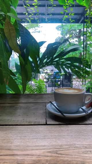 [☕️🇻🇳] ForDeer – Coffee with tree 🥤 Top1Coffee ☕️ Thưởng thức một ly latte nóng cho mùa đông ấm áp bạn nhé  #rung_xin_chao #rung_tru_an
, shares-0✔️ , likes-0❤️️ , date-2023-12-29 02:00:57🇻🇳🇻🇳🇻🇳📰🆕