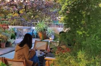 [☕️🇻🇳] ForDeer – Coffee with tree 🥤 Top1Coffee ☕️ Lạc vào khu vườn cổ tích ngập tràn nắng xinh tại Rừng xin chào  #rung_tru_an #rung_xin_chao
, shares-0✔️ , likes-0❤️️ , date-2024-01-04 02:02:29🇻🇳🇻🇳🇻🇳📰🆕