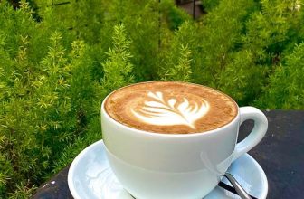 [☕️🇻🇳] ForDeer – Coffee with tree 🥤 Top1Coffee ☕️ “Cà phê là một môn nghệ thuật công phu.
Người tạo ra cà phê là một nghệ nhân tài ba.
Và người thưởng thức cà phê là một nghệ s , shares-0✔️ , likes-5❤️️ , date-2024-01-12 13:00:18🇻🇳🇻🇳🇻🇳📰🆕