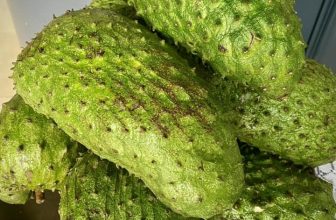 [☕️🇻🇳] Newland Coffee 🥤 Top1Coffee ☕️ 𝑪𝒉𝒖𝒚𝒆̂𝒏 𝑴𝒖̣𝒄 “𝐐𝐮𝐚̂̀𝐲 𝐃𝐢̣𝐜𝐡 𝐕𝐮̣“ ạ !𝑴𝒂̃𝒏𝒈 𝑪𝒂̂̀𝒖 𝒕𝒖̛𝒐̛𝒊 vừa mới cập bến tại “𝑵𝒆𝒘𝒍𝒂𝒏𝒅 𝒄𝒐𝒇𝒇𝒆𝒆“ạ !
Còn rất nhiều mặt hàng khác như , shares-0✔️ , likes-16❤️️ , date-2024-01-07 09:43:30🇻🇳🇻🇳🇻🇳📰🆕