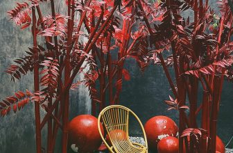 [☕️🇻🇳] Hello Coffee – Quán cà phê Internet Thành Phố Huế 🥤 Top1Coffee ☕️ TẤT NIÊN HELLOcứ dịp Tết đến Xuân về, ngoài việc cùng nhau tổng kết các công việc đã làm được trong năm cũ thì Hello vẫn sẽ lu , shares-11✔️ , likes-43❤️️ , date-2024-01-30 06:27:25🇻🇳🇻🇳🇻🇳📰🆕