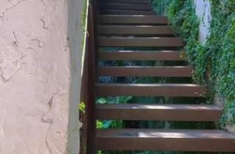 [☕️🇻🇳] ForDeer – Coffee with tree 🥤 Top1Coffee ☕️ Tết sắp đến rồi, có 2 điều không thể bỏ lỡ. Một là chuyến xe cuối cùng về nhà, hai là một lần checkin tại cầu thang với hàng cây , shares-0✔️ , likes-0❤️️ , date-2024-01-11 02:00:50🇻🇳🇻🇳🇻🇳📰🆕