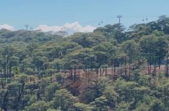 [☕️🇻🇳] Horizon Coffee – Đà Lạt 🥤 Top1Coffee ☕️  , shares-0✔️ , likes-0❤️️ , date-2024-03-18 08:15:36🇻🇳🇻🇳🇻🇳📰🆕