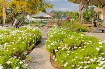 [☕️🇻🇳] Ngày của Nắng Coffee+ 🥤 Top1Coffee ☕️ Có những giai điệu bình yên đến lạ thường! #Ngaycuanangcoffee #View #Quancaphe #Checkin #Dalat #Hoanghon
, shares-0✔️ , likes-0❤️️ , date-2024-01-08 09:11:12🇻🇳🇻🇳🇻🇳📰🆕