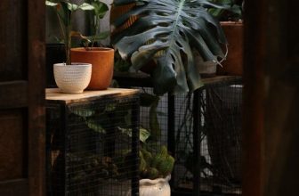 [☕️🇻🇳] BỤI Coffee Chill – Plants 🥤 Top1Coffee ☕️ “Đừng so sánh cuộc sống của bạn với người khác. Bạn không biết họ đã trải qua những gì.” —–
Bụi Coffee
𝐀𝐝𝐝: 49 Sao Biển – Vĩ , shares-0✔️ , likes-9❤️️ , date-2024-01-18 14:00:41🇻🇳🇻🇳🇻🇳📰🆕