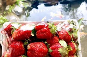 [☕️🇻🇳] Newland Coffee 🥤 Top1Coffee ☕️  “𝘿𝐚̂𝙪 𝙏𝐚̂𝙮 “ 𝙩𝒖̛𝒐̛𝙞, 𝙣𝙜𝙤𝙣 𝙫𝒖̛̀𝙖 𝙘𝒂̣̂𝙥 𝙗𝒆̂́𝙣 𝙩𝒂̣𝙞 “𝙉𝙚𝙬𝙡𝙖𝙣𝙙 𝙘𝙤𝙛𝙛𝙚𝙚 “ 𝙧𝒐̂̀𝙞 𝙣𝒆̀ 𝙘𝒂̉ 𝙣𝙝𝒂̀ 𝒐̛𝙞 !
, shares-0✔️ , likes-10❤️️ , date-2024-01-12 06:49:00🇻🇳🇻🇳🇻🇳📰🆕