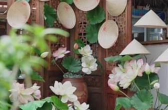 [☕️🇻🇳] Khóm Coffee & Tea 🥤 Top1Coffee ☕️ “Đừng lay tôi nhé cuộc đời / Tôi còn trẻ quá cho tôi mơ màng”
, shares-0✔️ , likes-0❤️️ , date-2024-01-18 12:00:48🇻🇳🇻🇳🇻🇳📰🆕