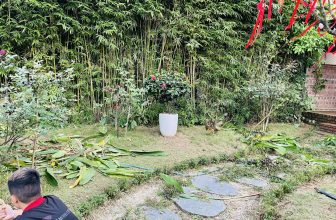 [☕️🇻🇳]  Minh Coffee 🥤 Top1Coffee ☕️ Công tác cắt tỉa cây xanh định kỳ để chờ đón thảm cỏ xanh mướt cho mùa xuân 2024 tại Minh Coffee  Thực hiện bởi Team Minh Coffee , shares-0✔️ , likes-21❤️️ , date-2024-01-22 01:13:18🇻🇳🇻🇳🇻🇳📰🆕