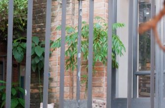 [☕️🇻🇳] Nhã Nam Books N’ Coffee 🥤 Top1Coffee ☕️ Khi còn bé, các em được mọi người chăm bẵm, nâng niu. Lớn hơn một chút, các em biết mình được mọi người thương yêu nên cả đôi rấ , shares-2✔️ , likes-30❤️️ , date-2024-01-17 04:04:20🇻🇳🇻🇳🇻🇳📰🆕